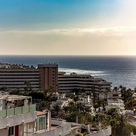 Monkey 210vin16 * Πλάγια ντε λας Αμέρικας